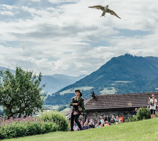 Falconiere libera un rapace durante uno spettacolo all'aperto tra le Alpi con pubblico