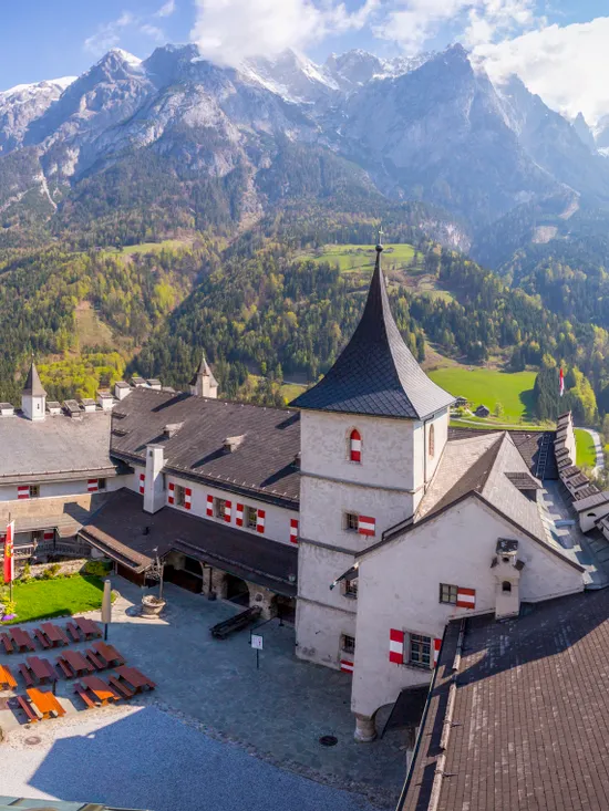 Falke über Burg Hohenwerfen