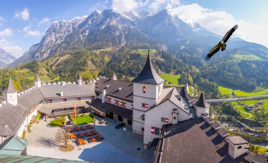 Falke über Burg Hohenwerfen