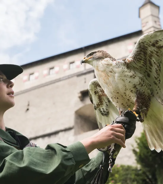 Burg Hohenwerfen Falknerin mit Vogel