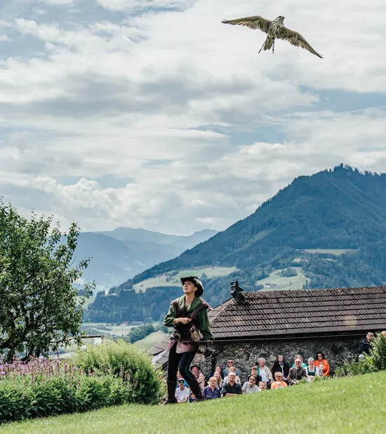Falconiere libera un rapace durante uno spettacolo all'aperto tra le Alpi con pubblico
