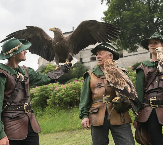 Falconieri in costumi medievali con rapaci addestrati durante una rievocazione storica