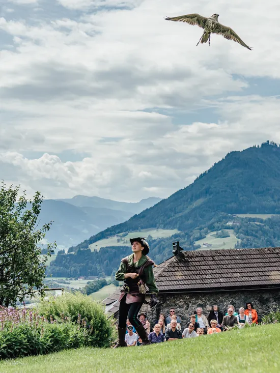 Burg Hohenwerfen Wiese Falknerei mit Falkner und Vogel