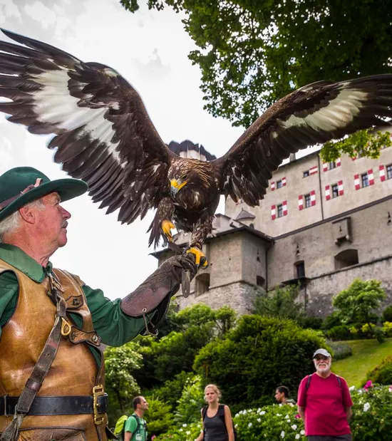 Falconer with leather gear holding a golden eagle near medieval castle with tourists watching
