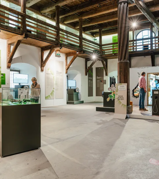 Ausstellung_Hohenwerfen_Burgzeiten10.jpg