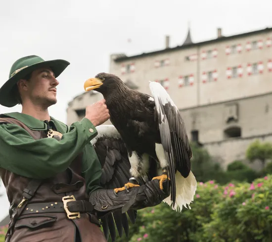 Falkner in mittelalterlicher Kleidung mit Seeadler vor einer europäischen Burg