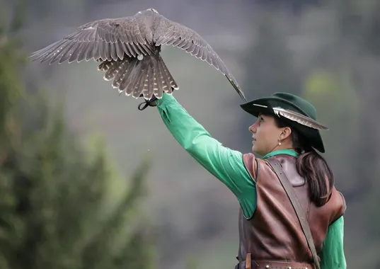 Falconiera con abiti verdi e in pelle tiene un rapace sul braccio guantato all'aperto