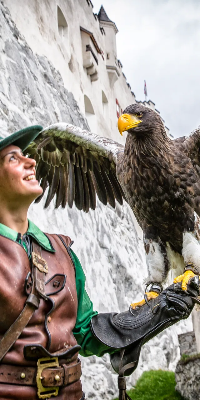 Falkner in mittelalterlicher Kleidung mit großem Adler vor einer Steinburgmauer